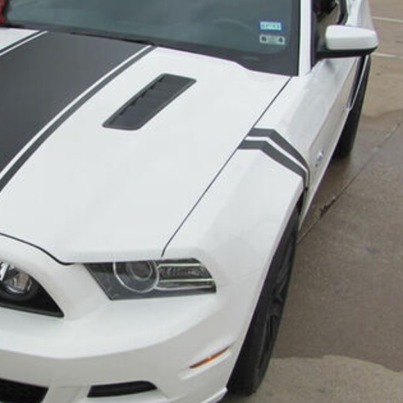 Meet your Posher, Prince - Picture 1 of 1